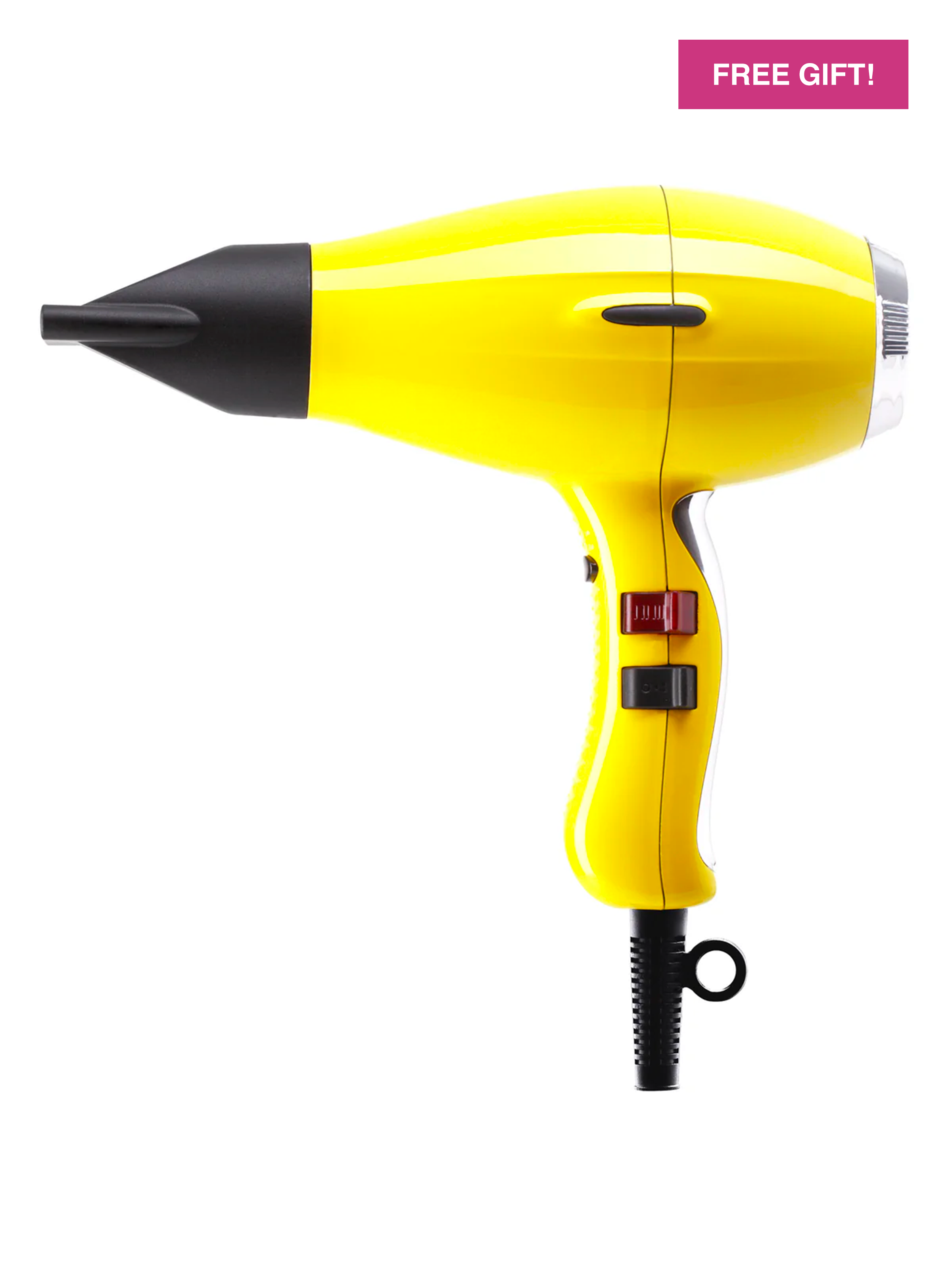 3900 Healthy Ionic: Powerful Professional Hair Dryer